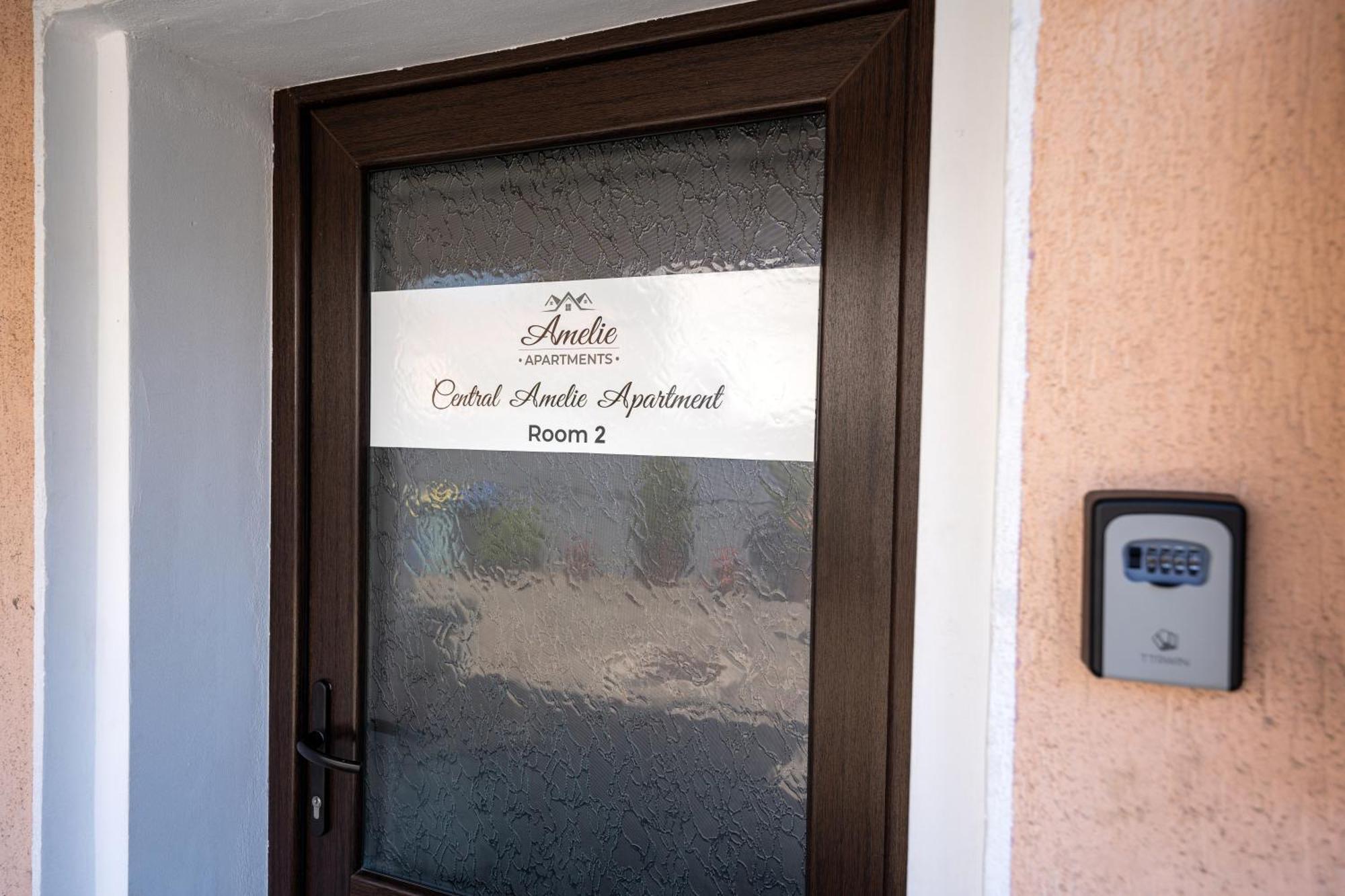 Central Amelie Accommodation Sighisoara Bagian luar foto